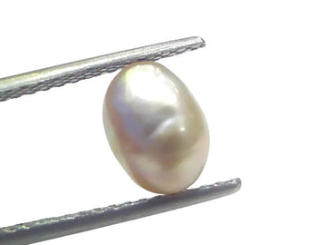 2.51 Ct Certified Natural Venunjula Real Sea Pearl Real Moti For Moon