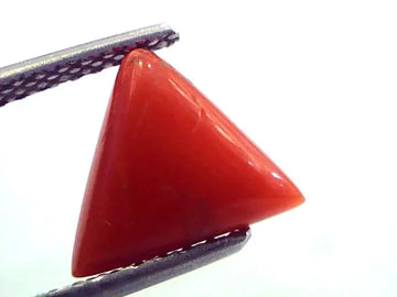 2.53 Carat Natural Italian Triangle Red Coral Moonga Gemstone