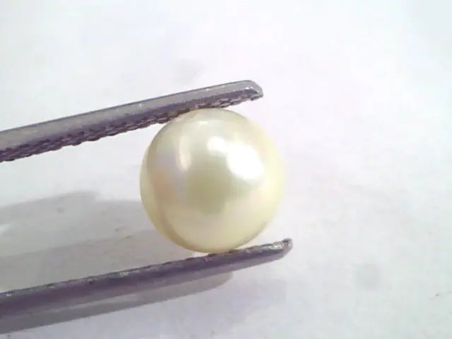4.34 Ct Natural Certified Real South Sea Pearl,Certified Moti
