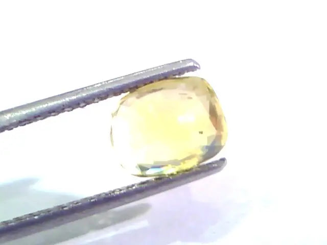 2.59 Ct Unheated Untreated Natural Ceylon Yellow Sapphire Pukhraj