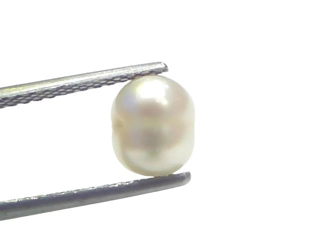 2.58 Ct Certified Natural Venunjula Real Sea Pearl Real Moti For Moon