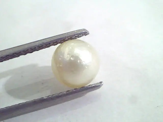 2.54 Ct Natural Certified Real South Sea Pearl,Certified Moti