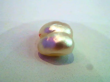2.60 Ct Natural Venunjula Real Pearl/Moti Certified No culture