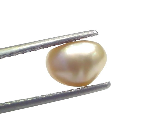 2.60 Ct Certified Natural Venunjula Real Sea Pearl Real Moti For Moon