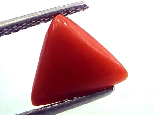 2.61 Carat Natural Italian Triangle Red Coral Moonga Gemstone