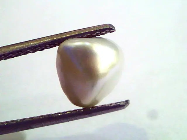 2.61 Carat Certified Natural Keshi Pearl,Certified Moti