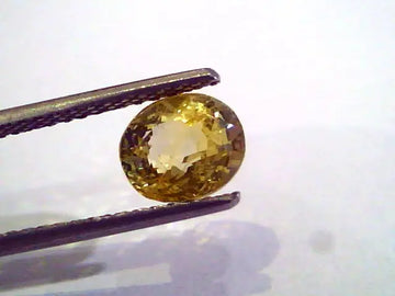 2.58 Ct Unheated Untreated Natural Ceylon Yellow Sapphire AAAAA