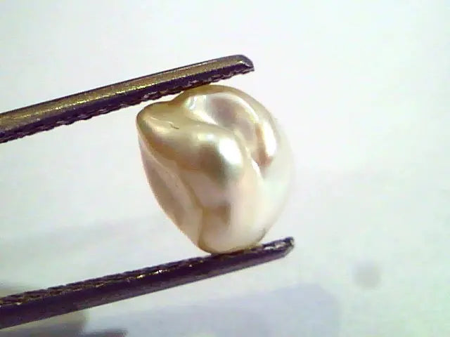 2.62 Carat Certified Natural Keshi Pearl,Certified Moti