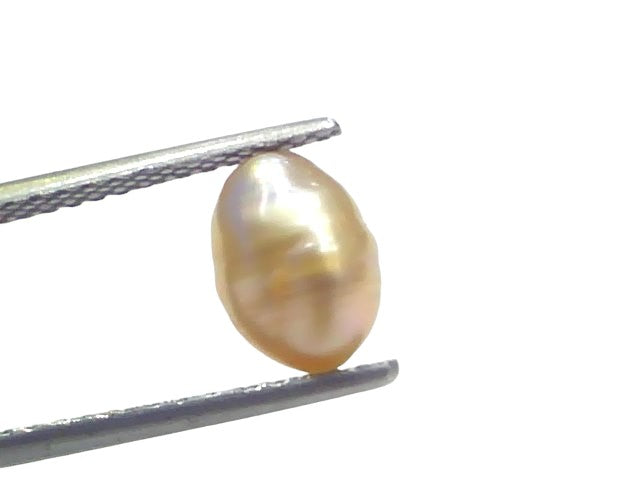 2.65 Ct Certified Natural Venunjula Real Sea Pearl Real Moti For Moon