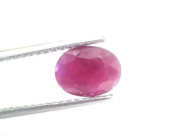 2.67 Ct Certified Unheated Untreated Natural New Burma Ruby