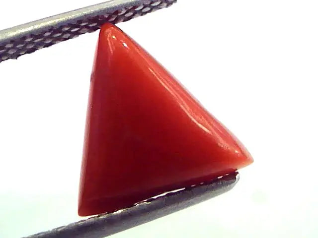 2.67 Carat Natural Italian Triangle Red Coral Moonga Gemstone