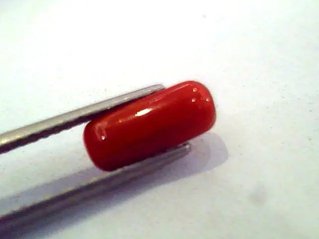2.67 Carat Natural Italian Red Coral Moonga Gemstone