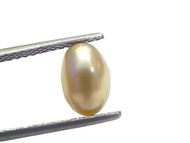 2.68 Ct Certified Natural Venunjula Real Sea Pearl Real Moti For Moon - Venus Gems