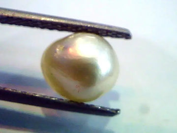 2.69 Ct Natural Real Pearl From Venunjula,Real Moti