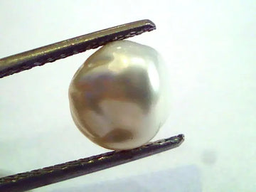 2.70 Carat Certified Natural Keshi Pearl,Certified Moti