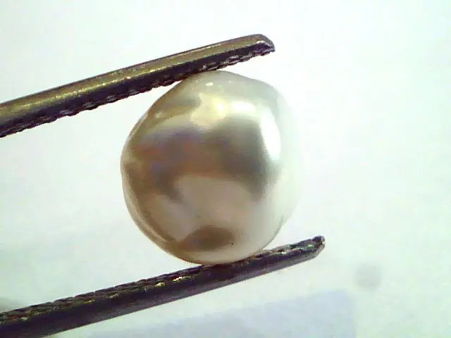 2.70 Carat Certified Natural Keshi Pearl,Certified Moti