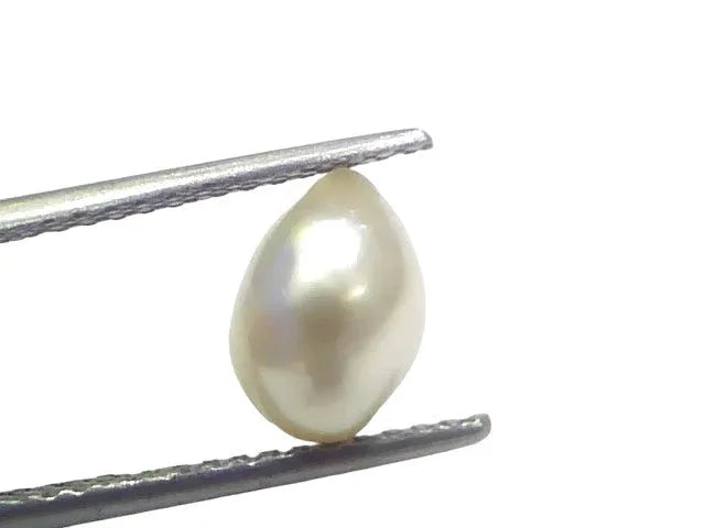 2.70 Ct Certified Natural Venunjula Real Sea Pearl Real Moti For Moon - Venus Gems