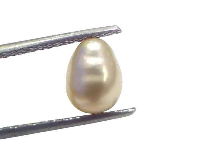 2.70 Ct Certified Natural Venunjula Real Sea Pearl Real Moti For Moon