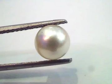 2.72 Ct,4.82 Chaw Natural Basra Pearl,Real Moti Certified *RARE*