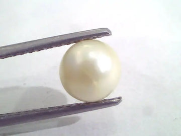 4.38 Ct Natural Certified Real South Sea Pearl,Certified Moti