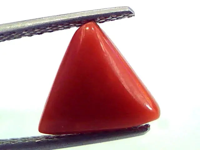2.74 Carat Natural Italian Triangle Red Coral Moonga Gemstone