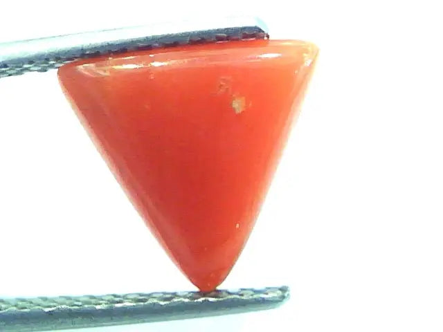 2.75 Carat Natural Italian Triangle Red Coral Moonga Gemstone