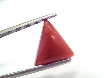 2.81 Ct 3.08 Ratti Natural Italian Triangle Red Coral Moonga Gemstone - Venus Gems