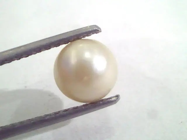 4.39 Ct Natural Certified Real South Sea Pearl,Certified Moti