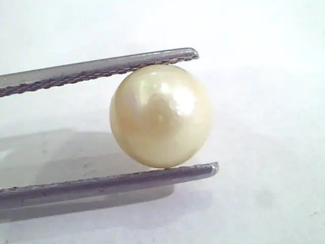 2.78 Ct Natural Certified Real South Sea Pearl,Certified Moti