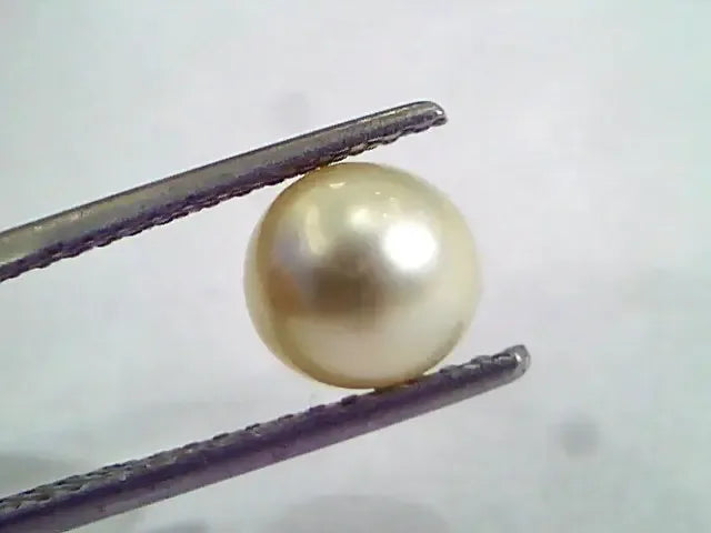 2.79 Ct,5.07 Chaw Natural Basra Pearl,Real Basra Moti Certified - Venus Gems