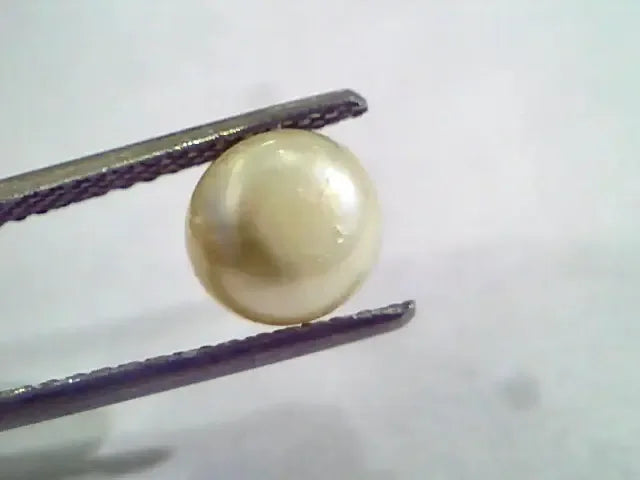 2.79 Ct,5.07 Chaw Natural Basra Pearl,Real Basra Moti Certified - Venus Gems