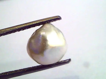 2.79 Carat Certified Natural Keshi Pearl,Certified Moti