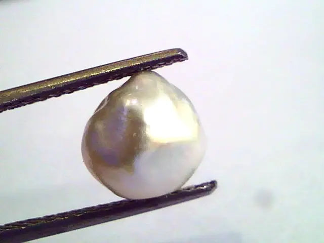 2.79 Carat Certified Natural Keshi Pearl,Certified Moti