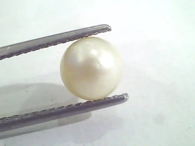 2.80 Ct Natural Certified Real South Sea Pearl,Certified Moti