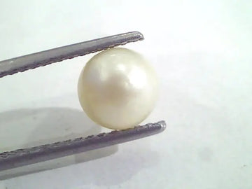 2.80 Ct Natural Certified Real South Sea Pearl,Certified Moti