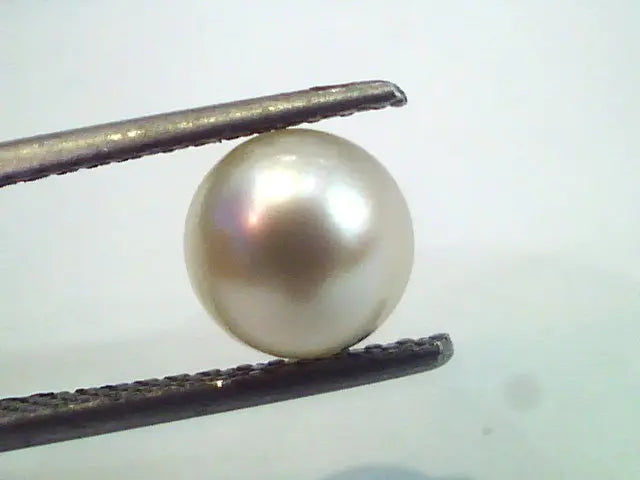 2.82 Ct,5.18 Chaw Natural Basra Pearl,Real Moti Certified *RARE*
