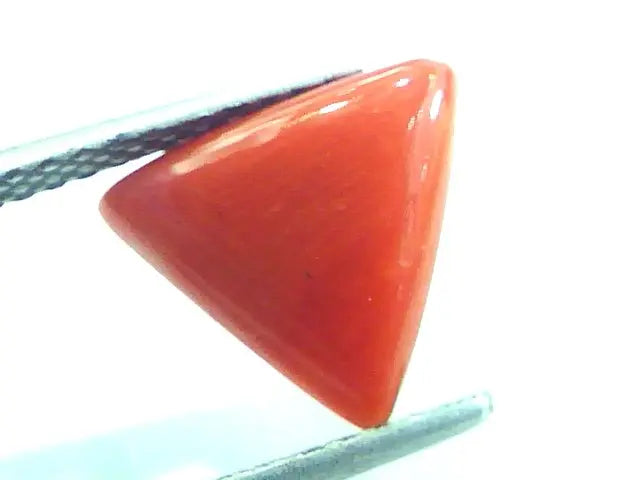 2.83 Carat Natural Italian Triangle Red Coral Moonga Gemstone