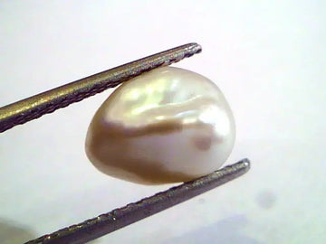 2.84 Carat Certified Natural Keshi Pearl,Certified Moti