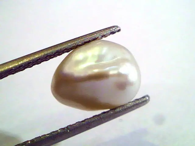 2.84 Carat Certified Natural Keshi Pearl,Certified Moti