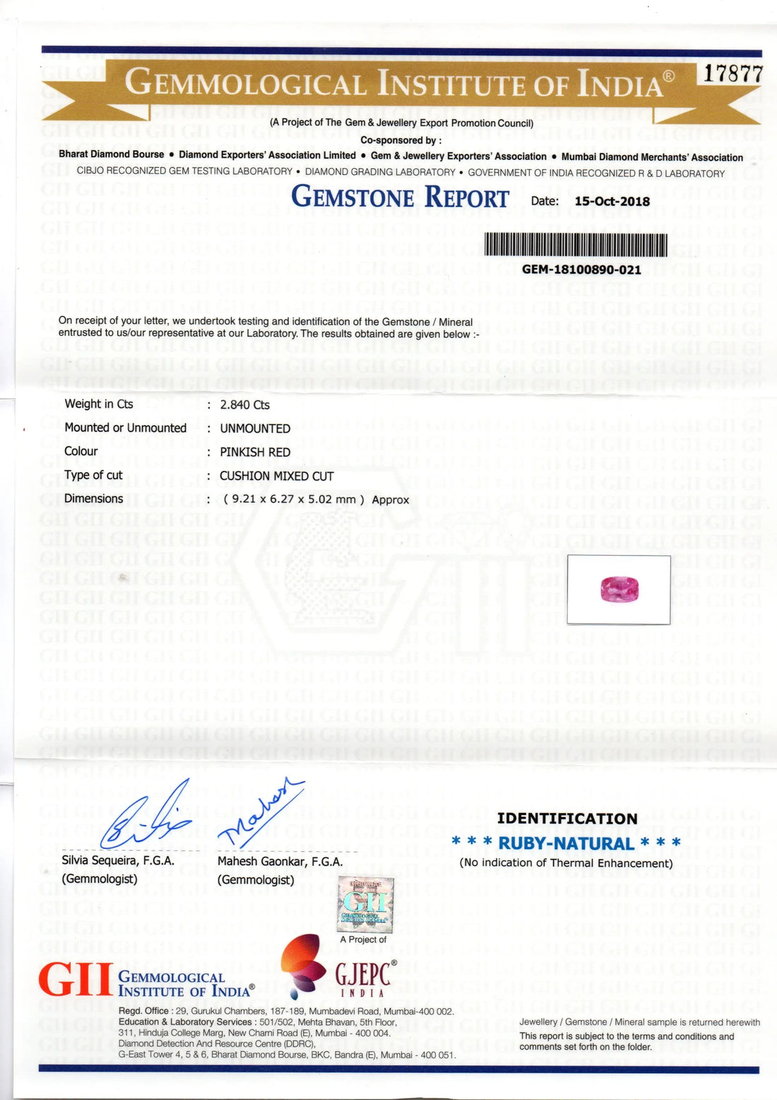 2.84 Ct GII Certified Unheated Untreted Natural Madagaskar Ruby AAA - Venus Gems