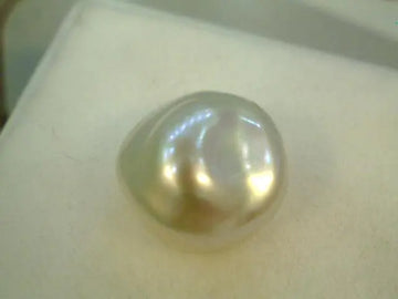 3.60 Carat Certified Natural Real Sea Pearl Keshi Moti