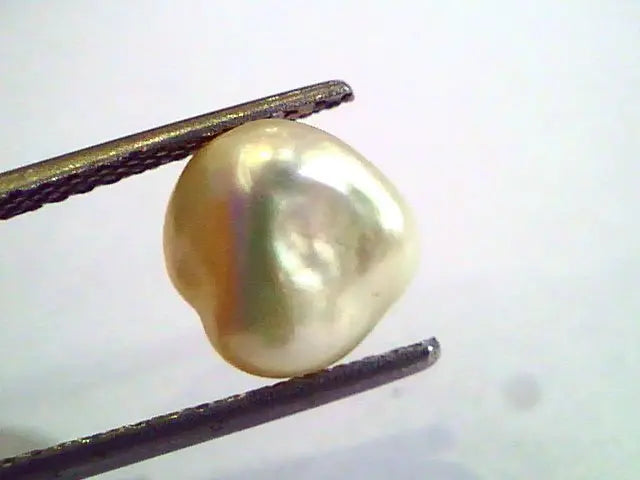 2.85 Carat Certified Natural Keshi Pearl,Certified Moti