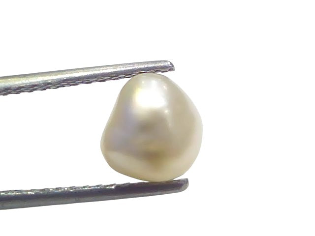 2.86 Ct Certified Natural Venunjula Real Sea Pearl Real Moti For Moon