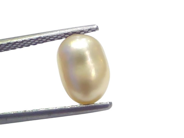 2.86 Ct Certified Natural Venunjula Real Sea Pearl Real Moti For Moon
