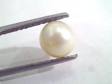 2.87 Ct Natural Certified Real South Sea Pearl,Certified Moti