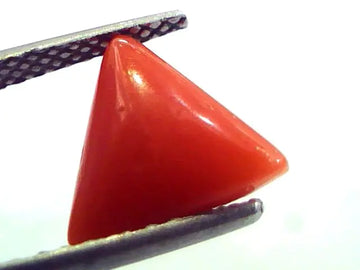 2.89 Carat Natural Italian Triangle Red Coral Moonga Gemstone