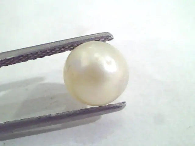 2.89 Ct Natural Certified Real South Sea Pearl,Certified Moti