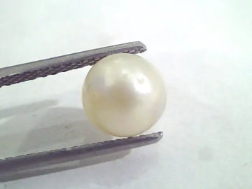 2.89 Ct Natural Certified Real South Sea Pearl,Certified Moti