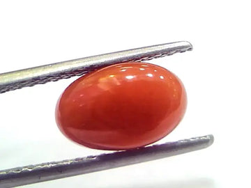 2.93 Ct 4.9 Ratti Natural Untreated Italian Red Coral Moonga Gems