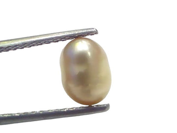 2.93 Ct Certified Natural Venunjula Real Sea Pearl Real Moti For Moon